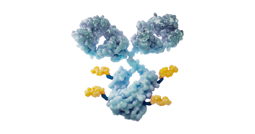 BGB-3111-215 Trial
