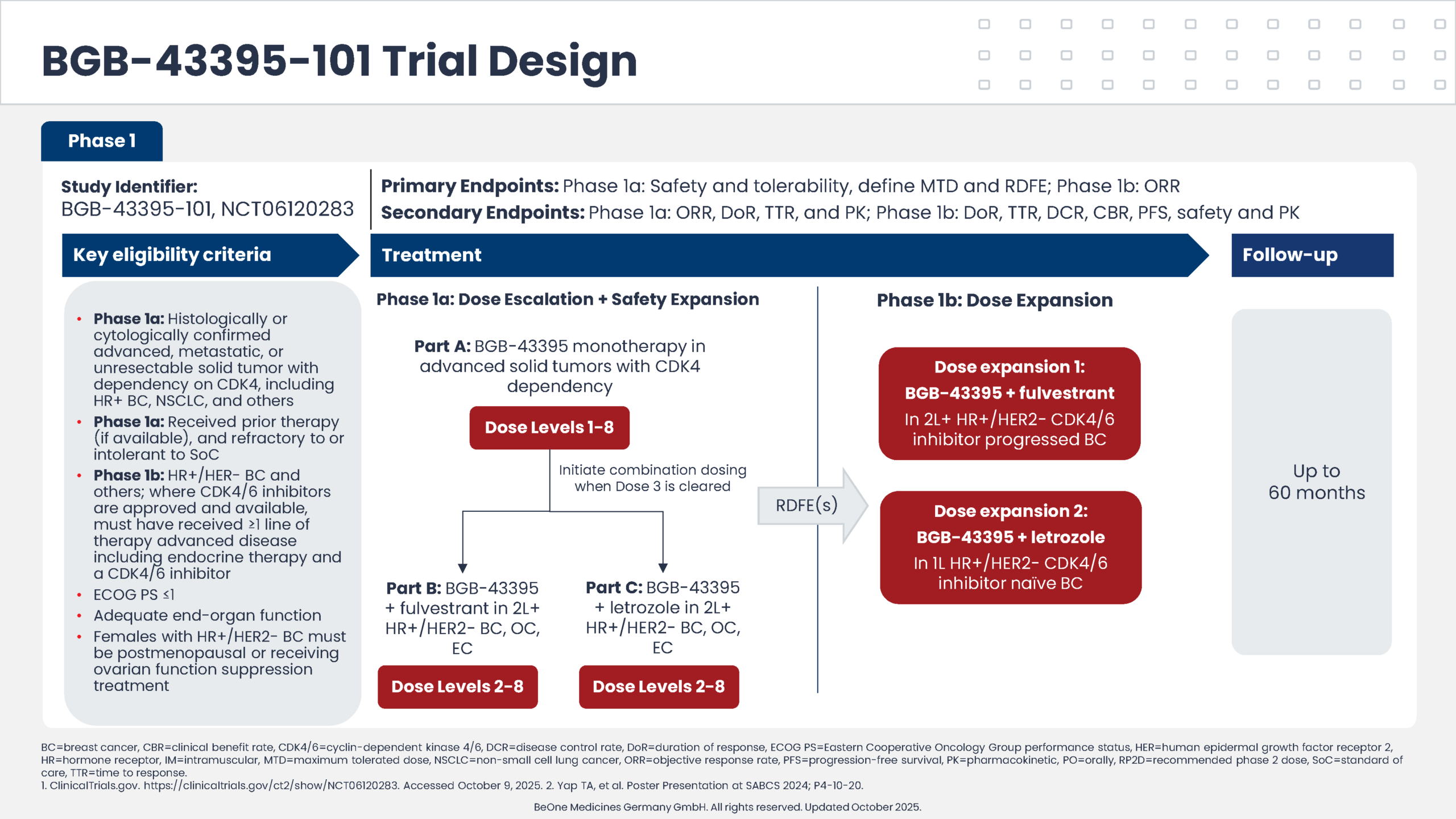 A study schema detailing the BGB-43395-101 Phase 1 clinical trial design shows various treatment arms including monotherapy and combination therapies with fulvestrant or letrozole for advanced solid tumors and HR+/HER2- breast cancer.