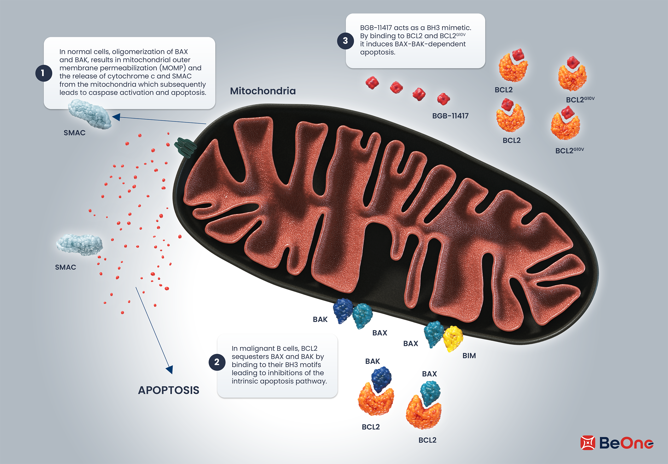 3D visualization of small molecule