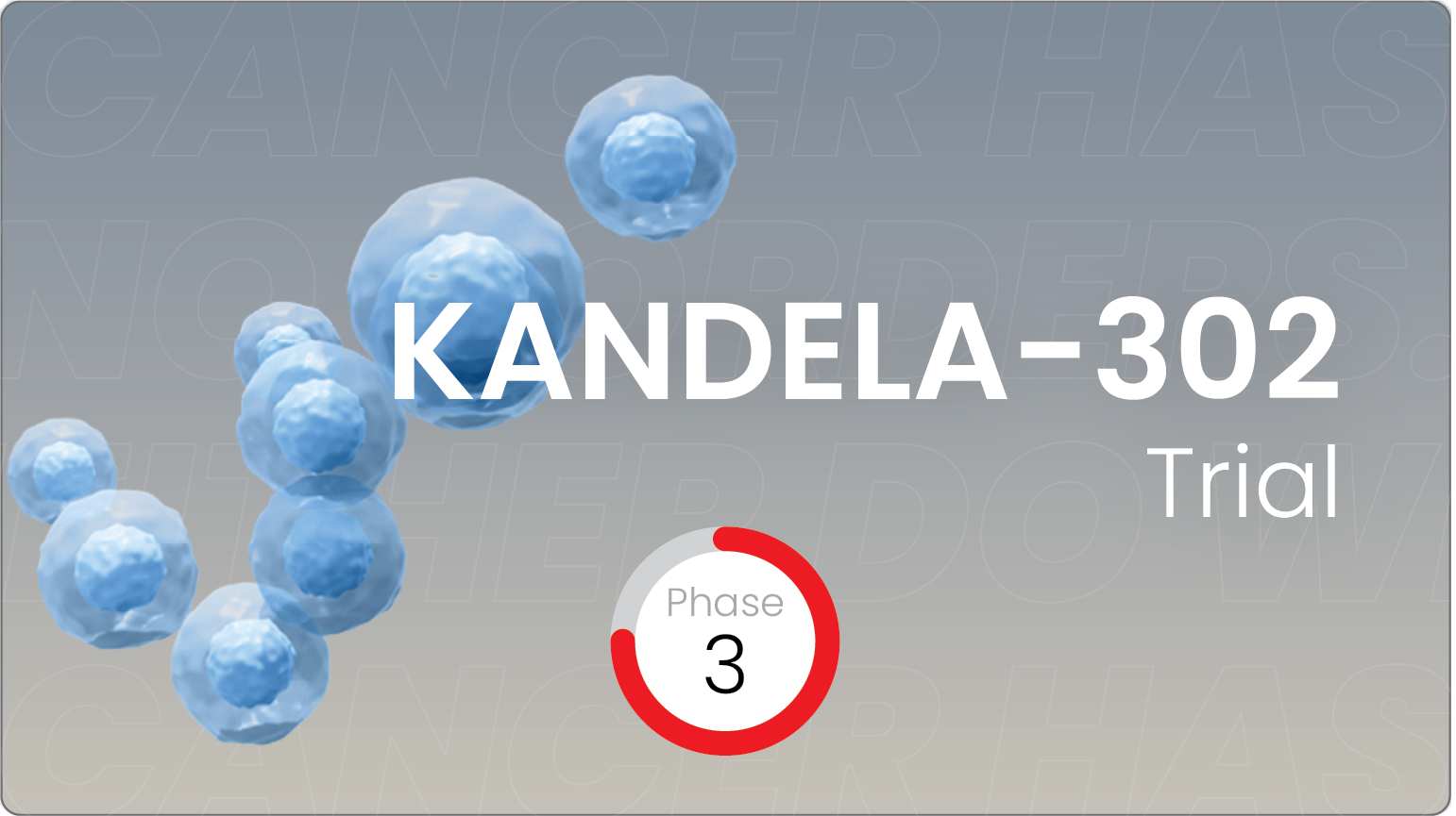 KANDELA-302 | BGB-43395-302
